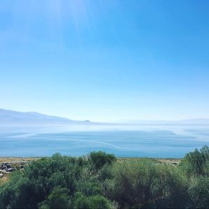 Meet your Posher, Jacquelyn